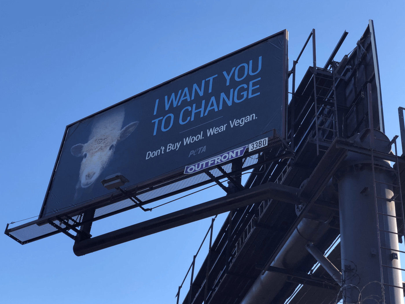 PETA lambs wool billboard close upcourtesy PETA.jpg